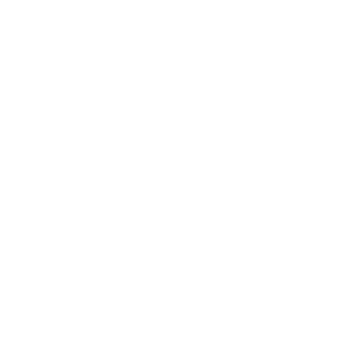 Finnish family business